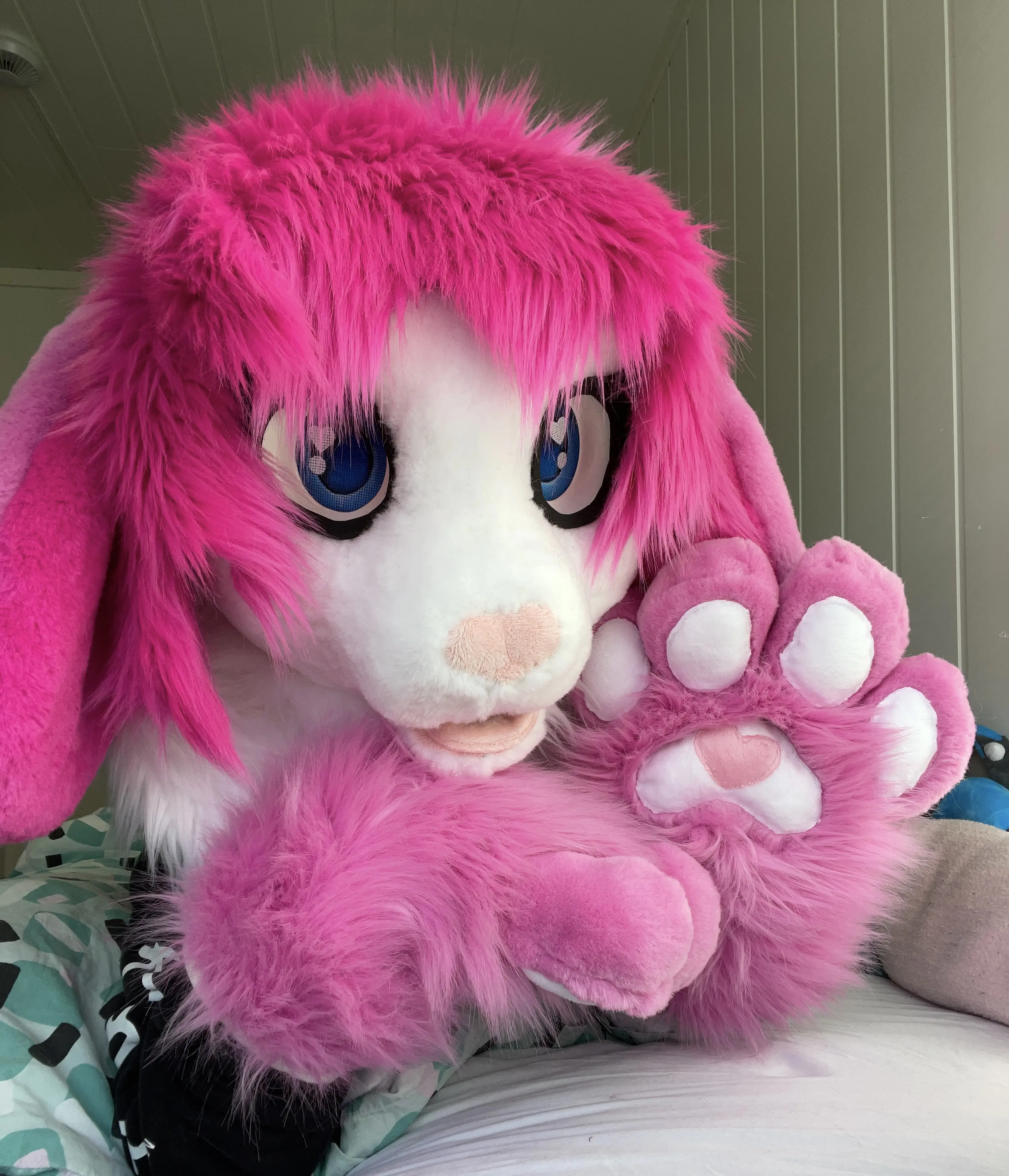 CancyCrystal front view