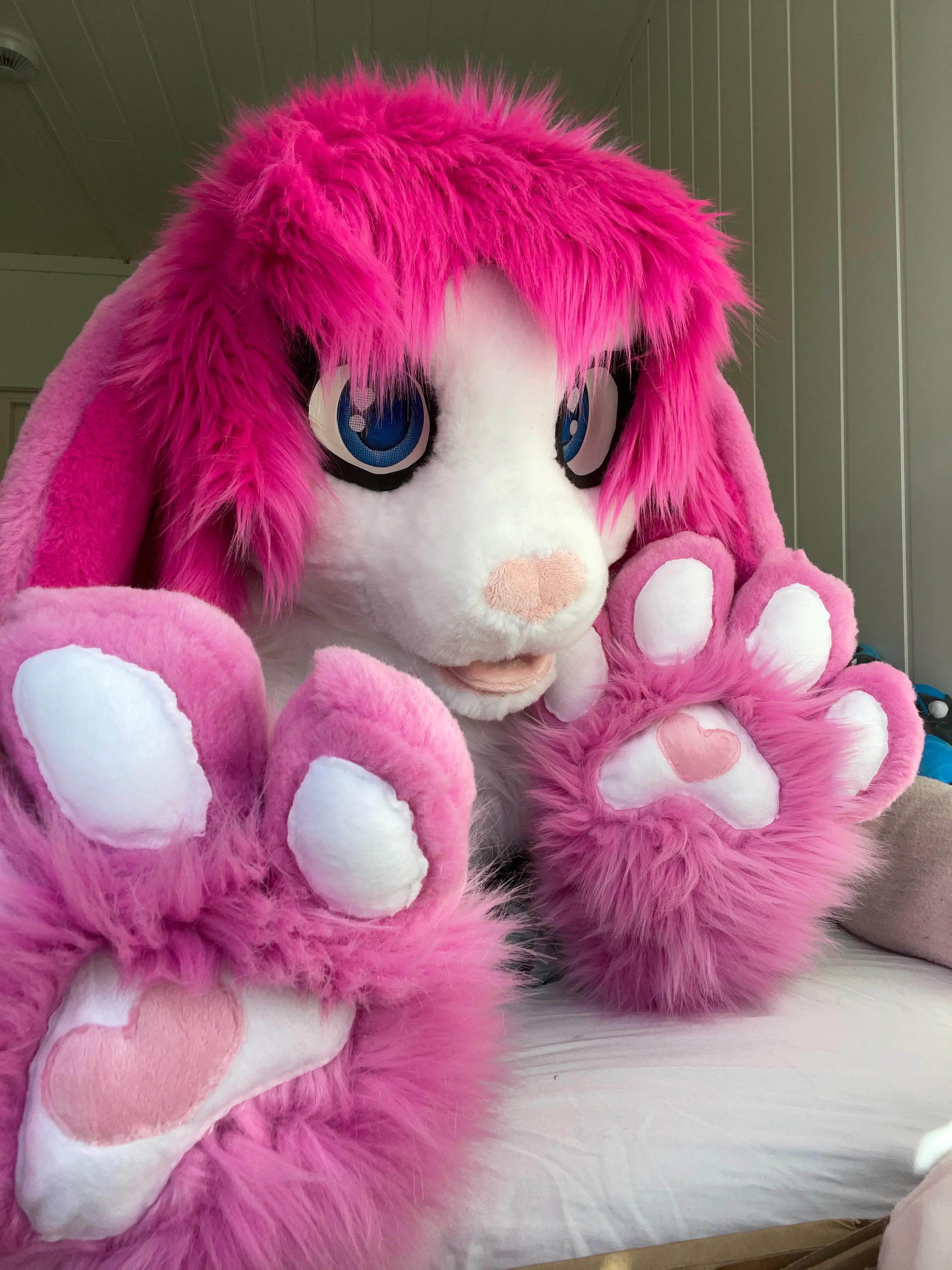 CancyCrystal front view