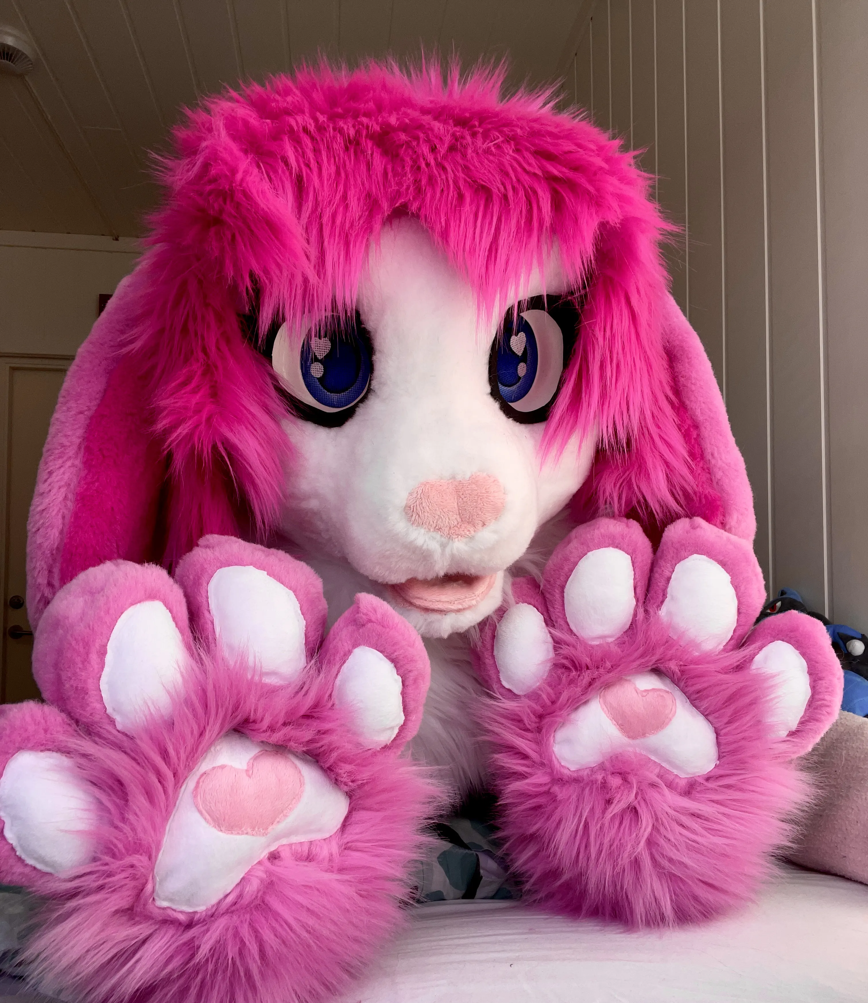 CancyCrystal front view