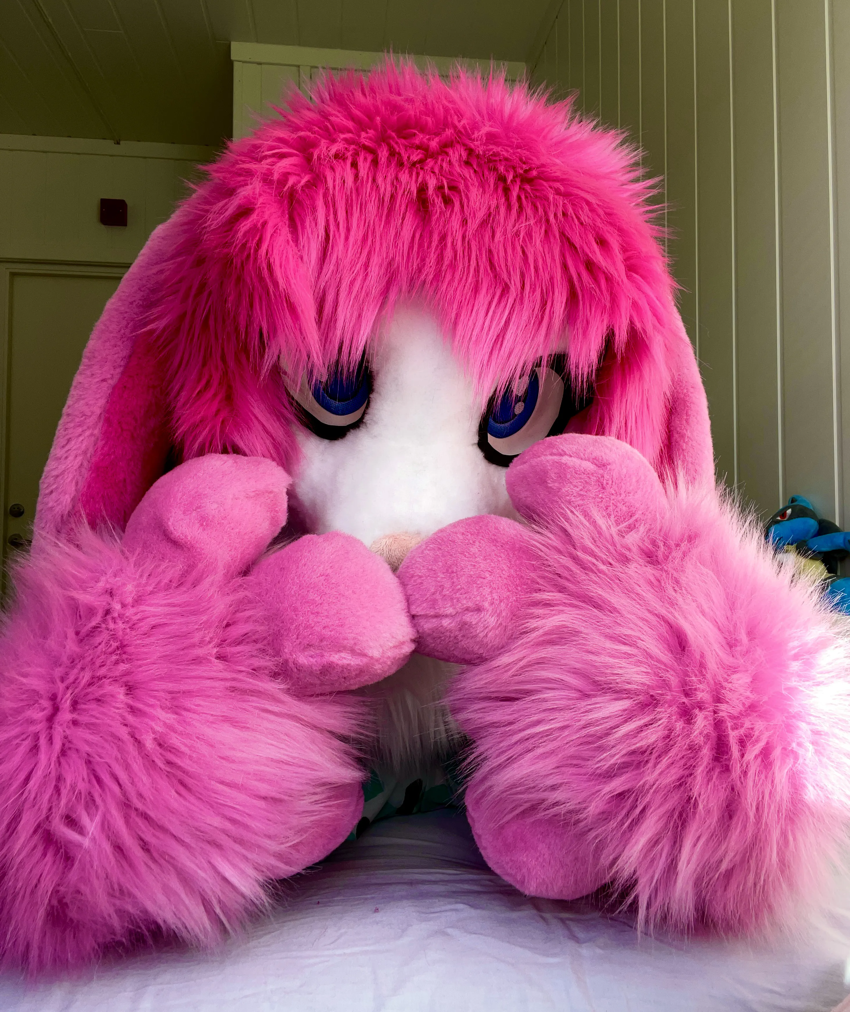 CancyCrystal front view