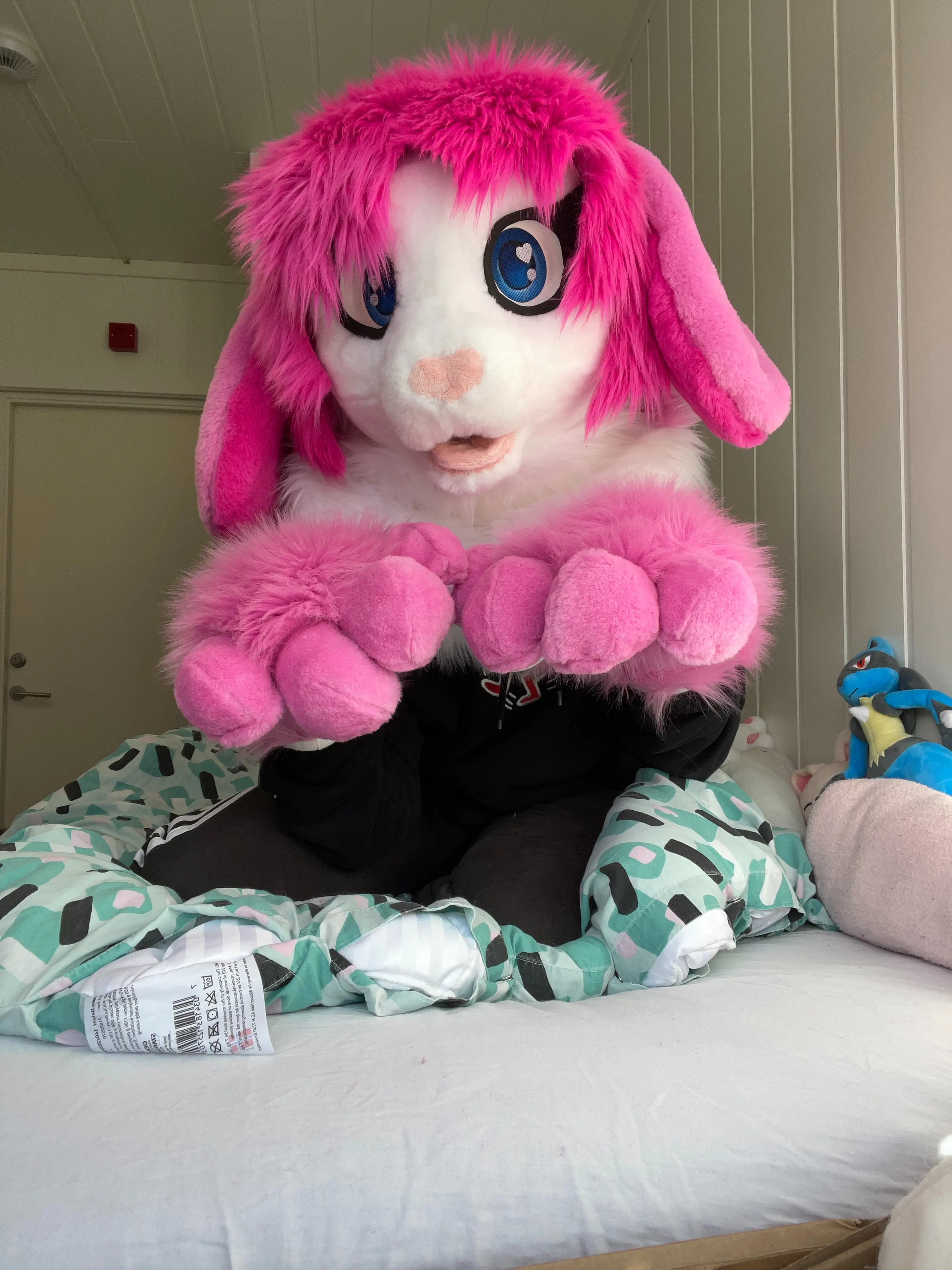 CancyCrystal front view