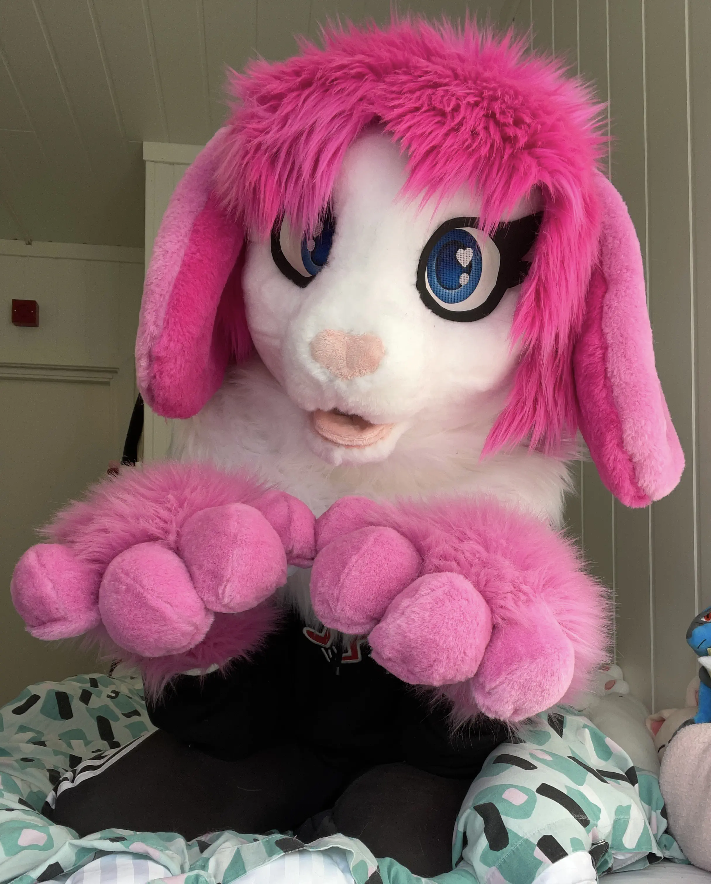 CancyCrystal front view