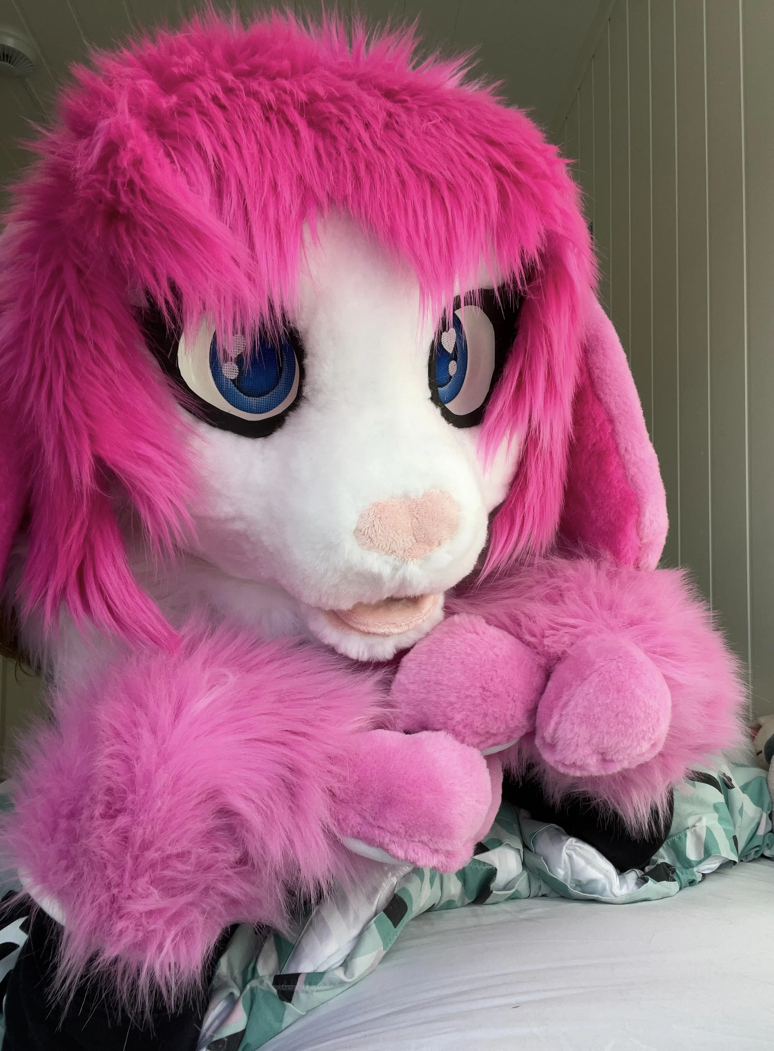 CancyCrystal front view