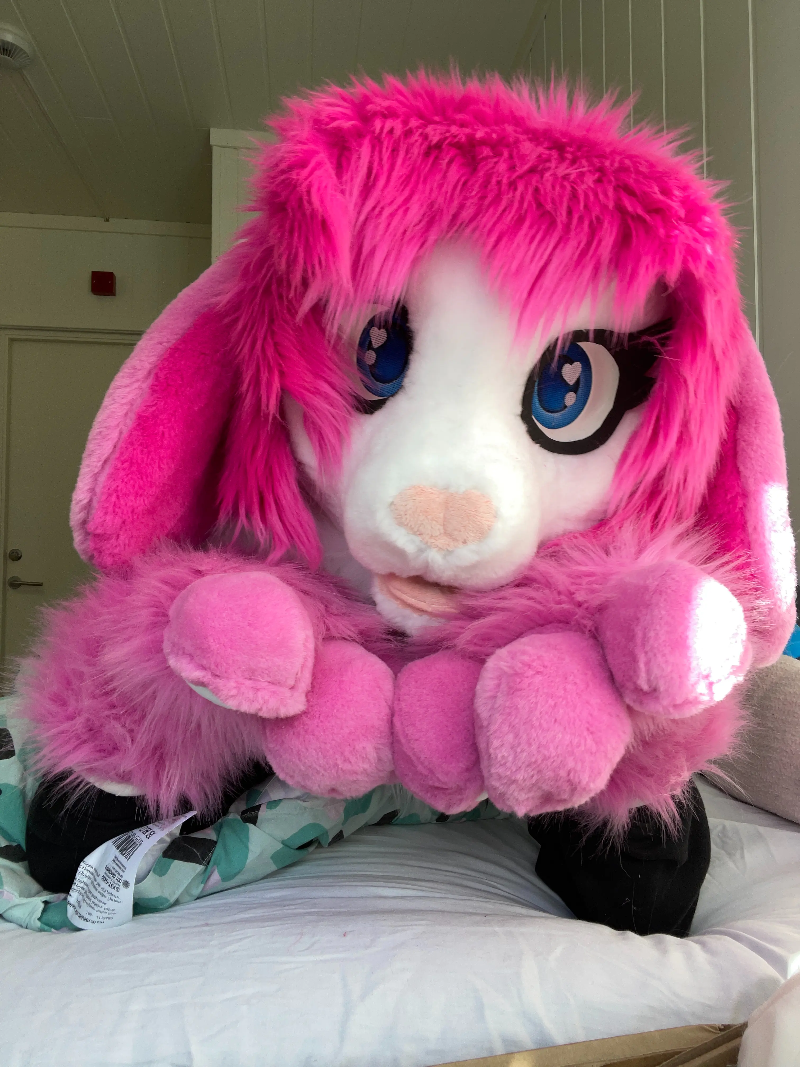 CancyCrystal front view