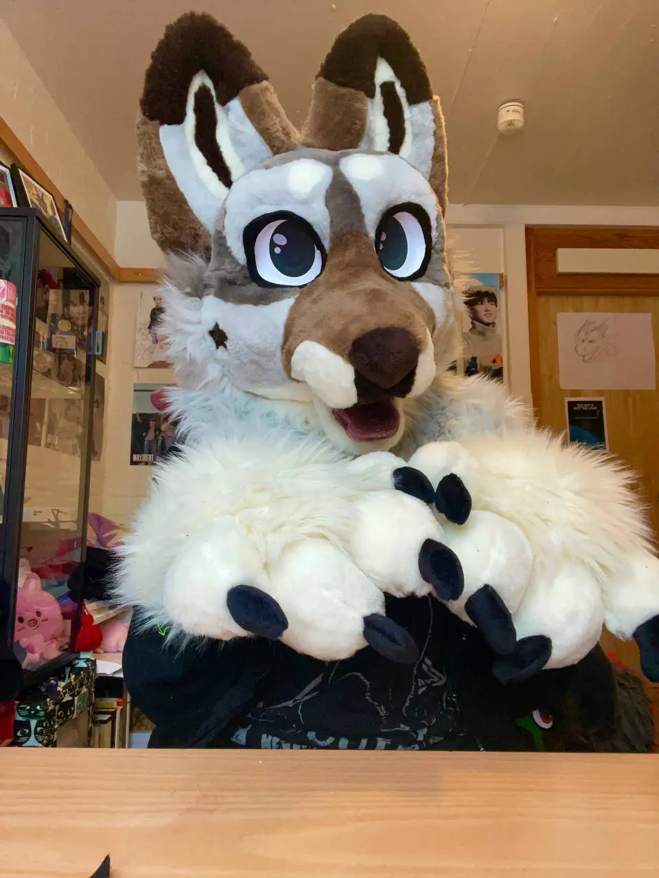 Fluffy Luke front view