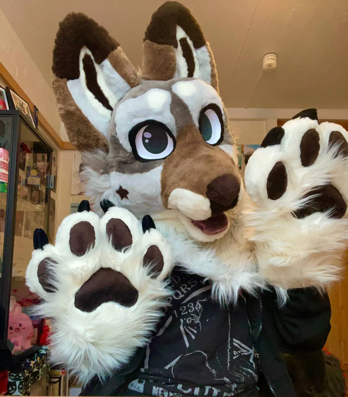 Fluffy Luke front view