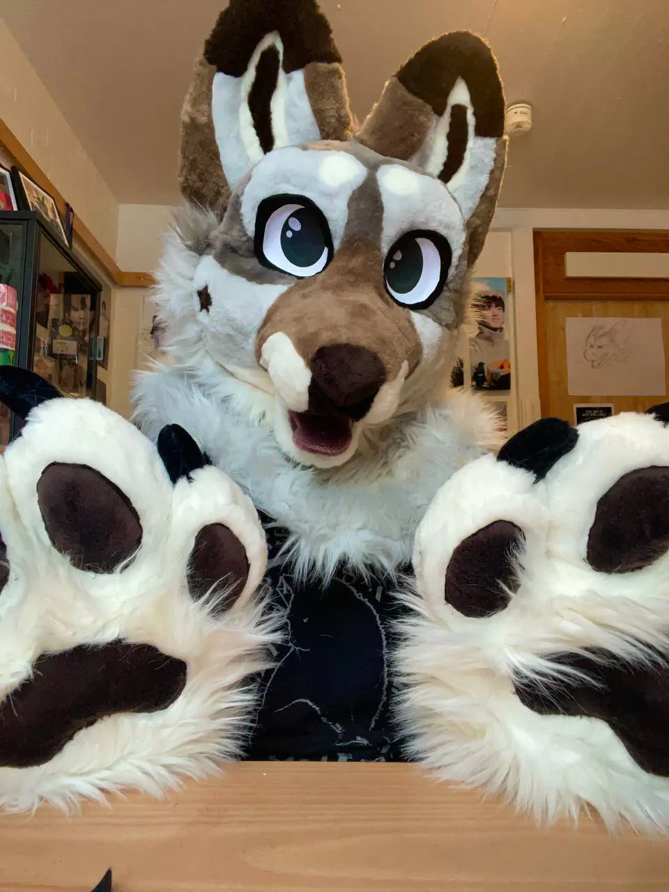 Fluffy Luke front view