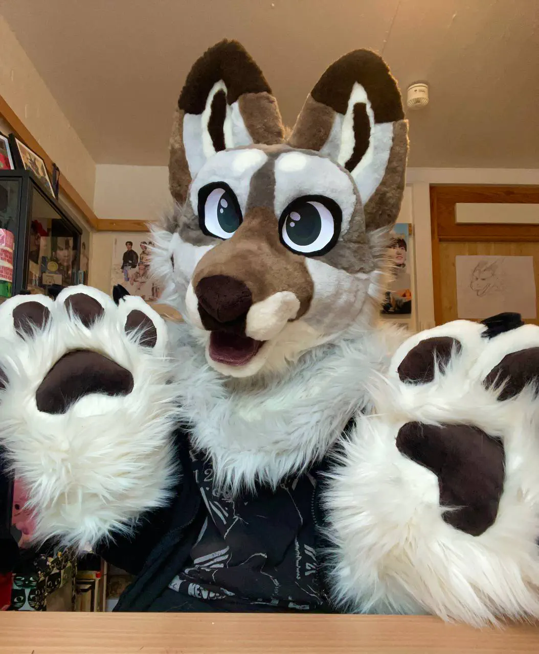 Fluffy Luke front view