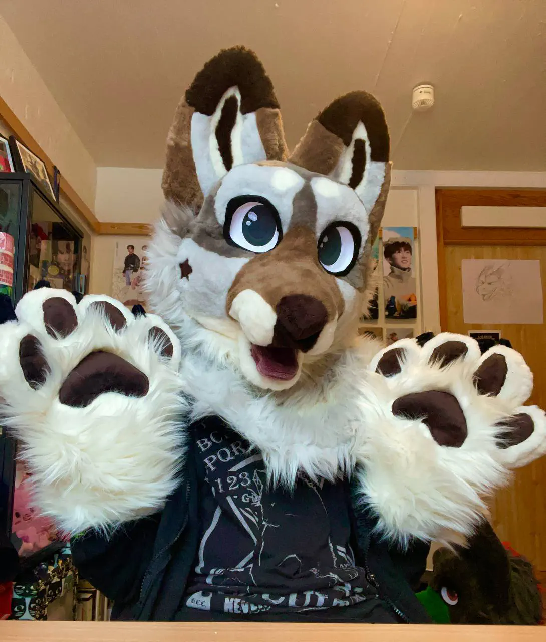 Fluffy Luke front view