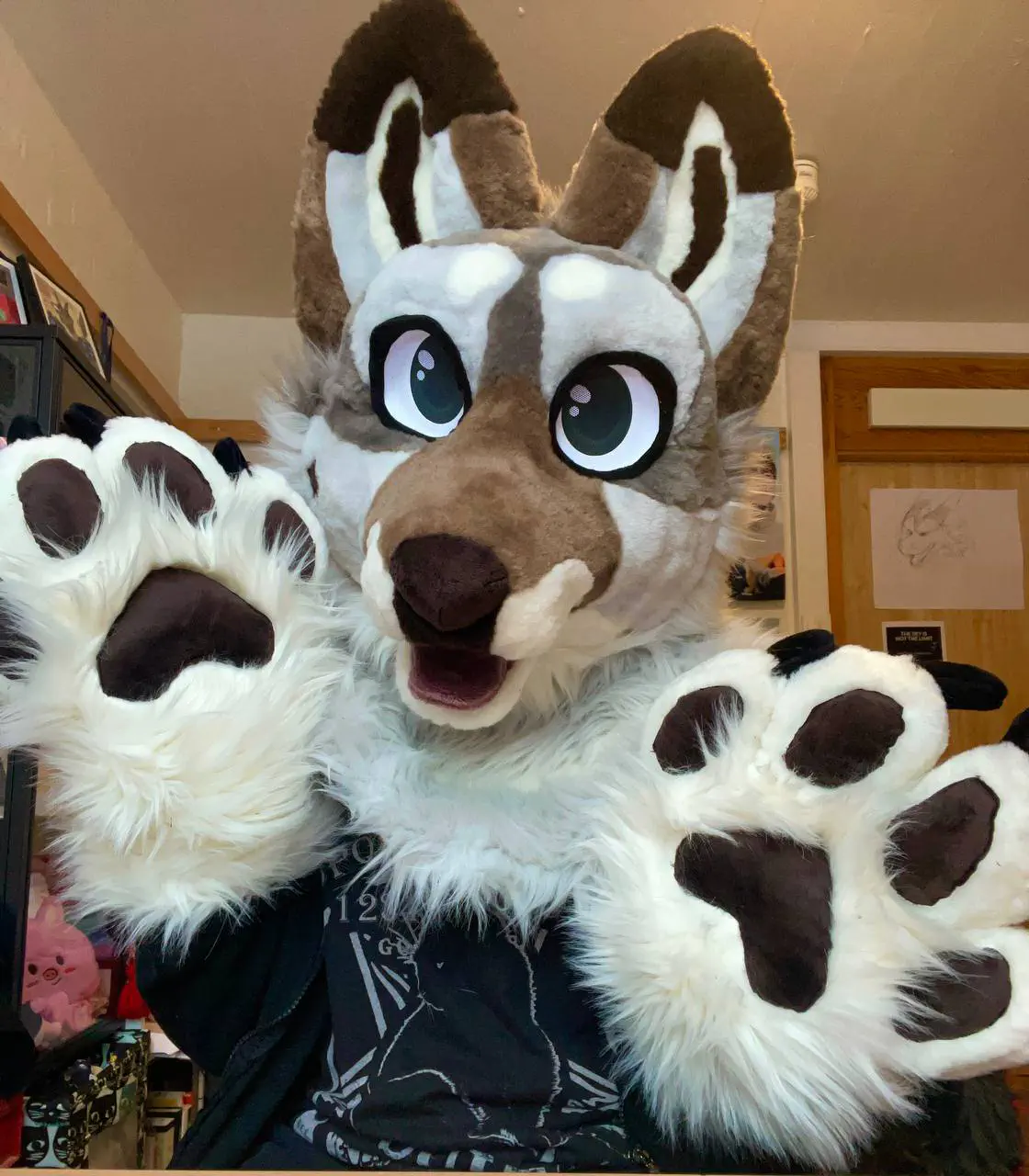 Fluffy Luke front view