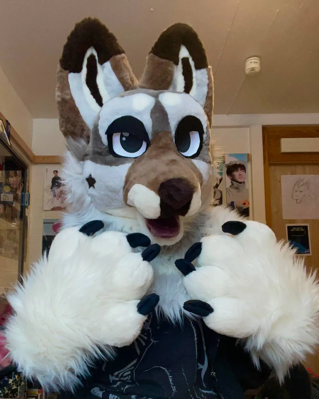 Fluffy Luke front view