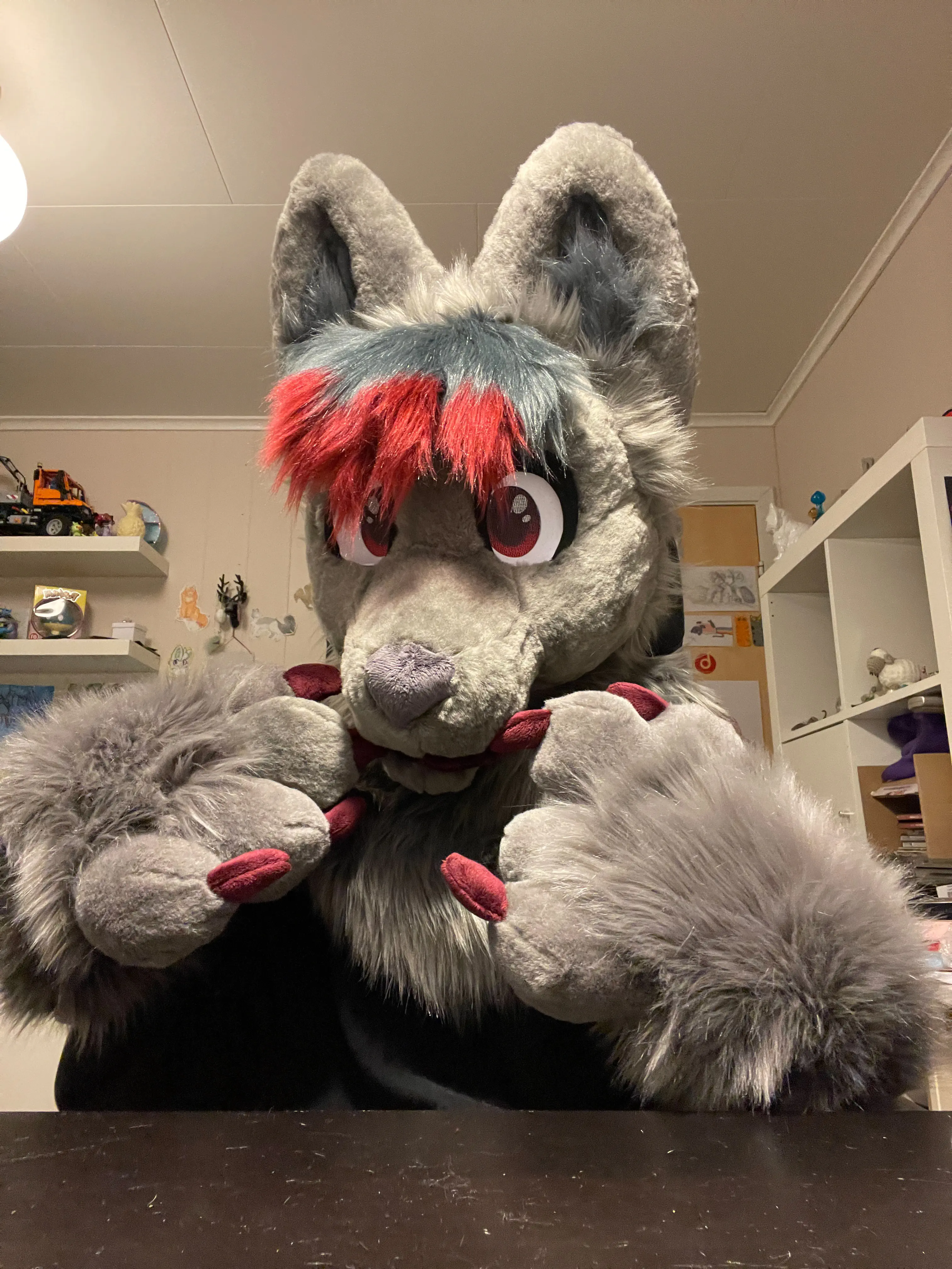 FreezingDodge front view