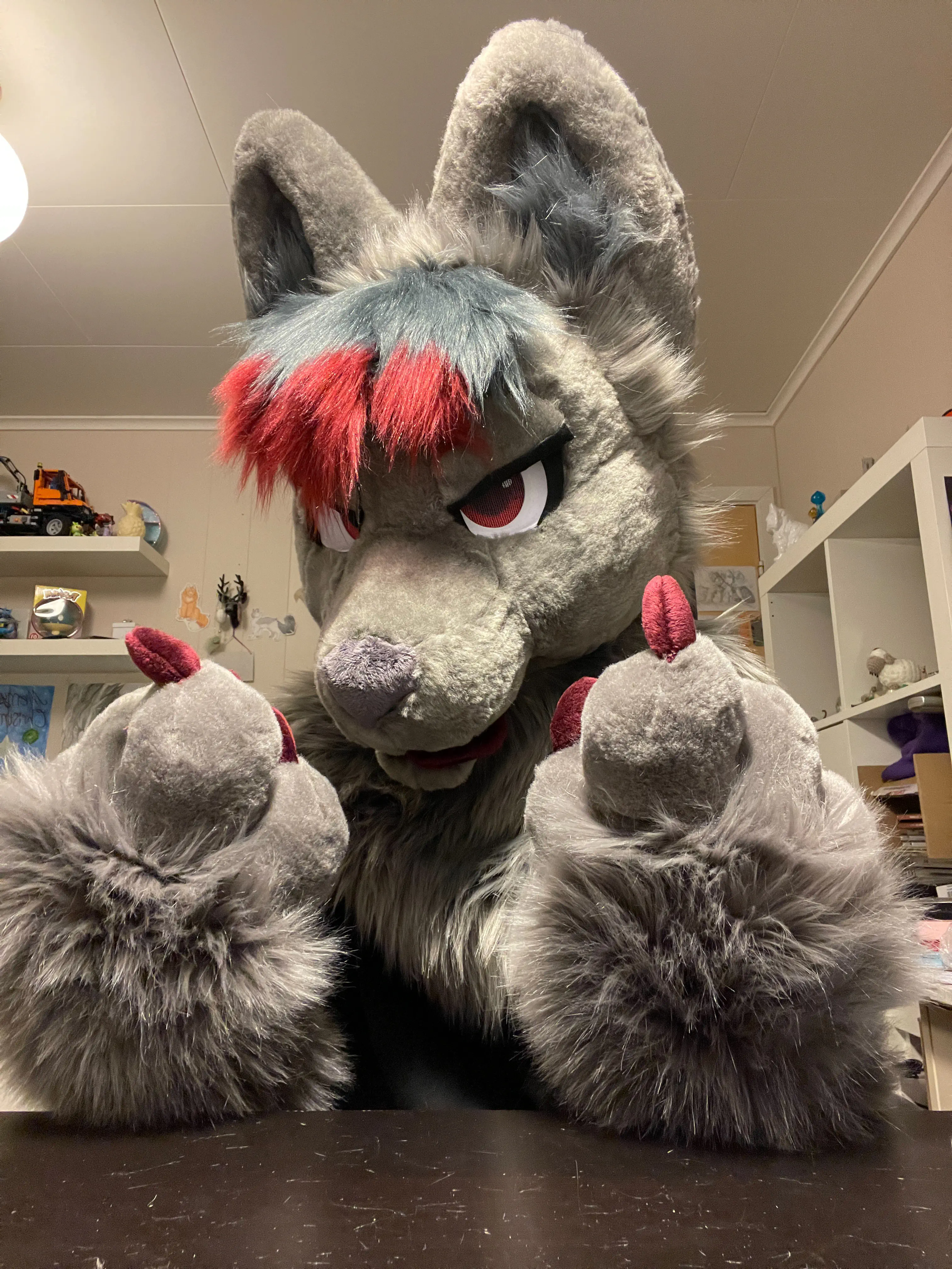 FreezingDodge front view