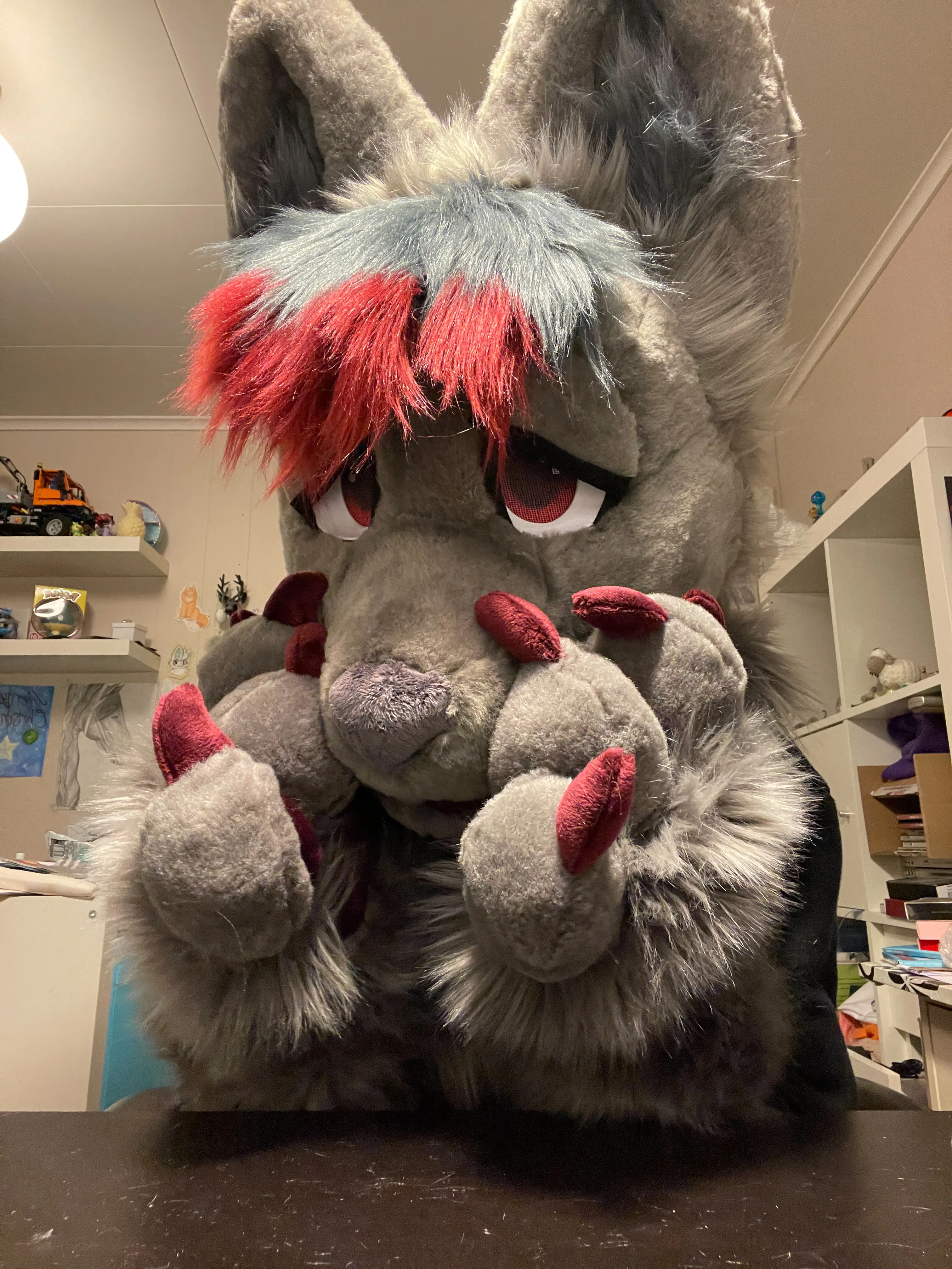 FreezingDodge front view