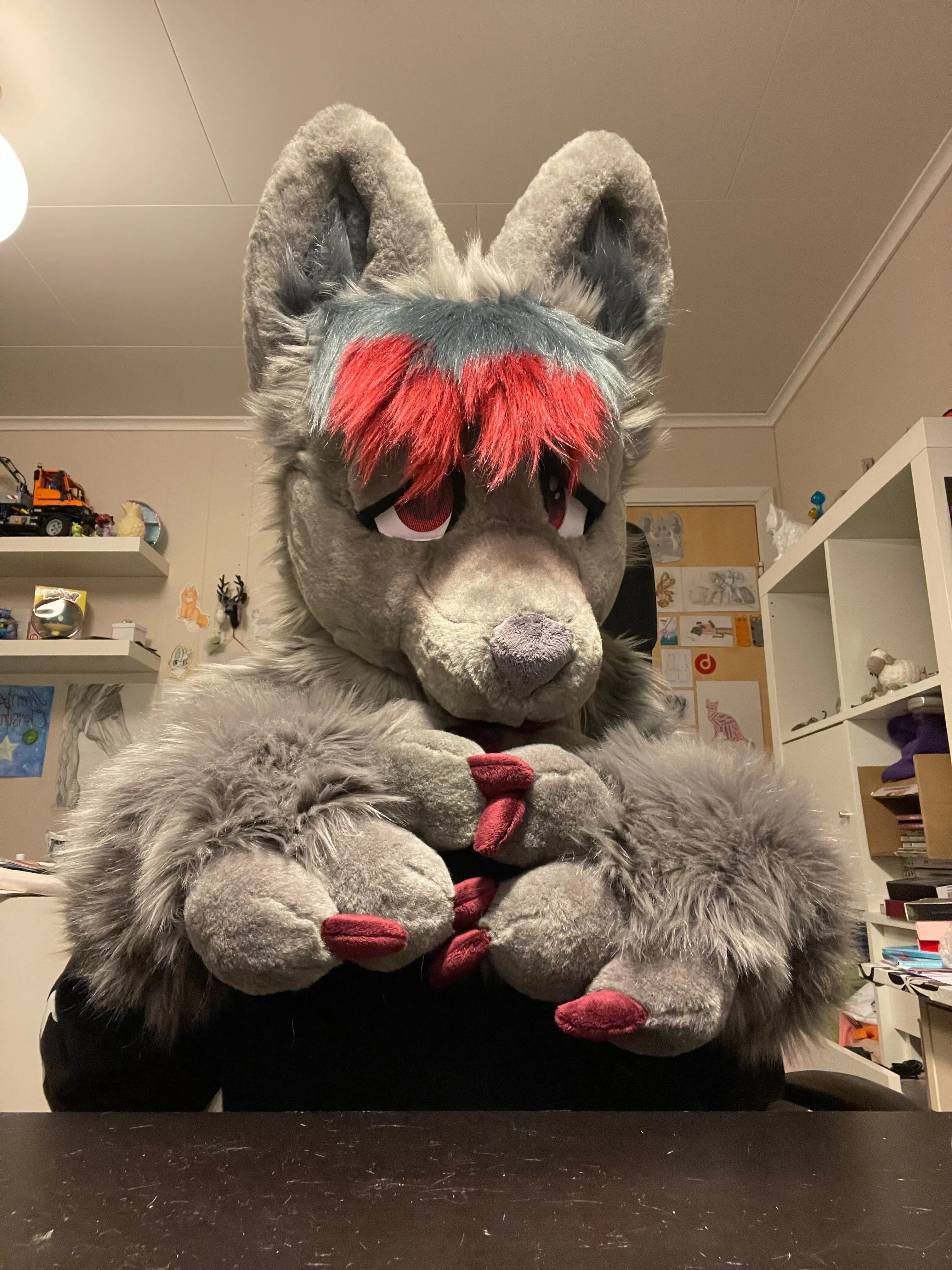 FreezingDodge front view