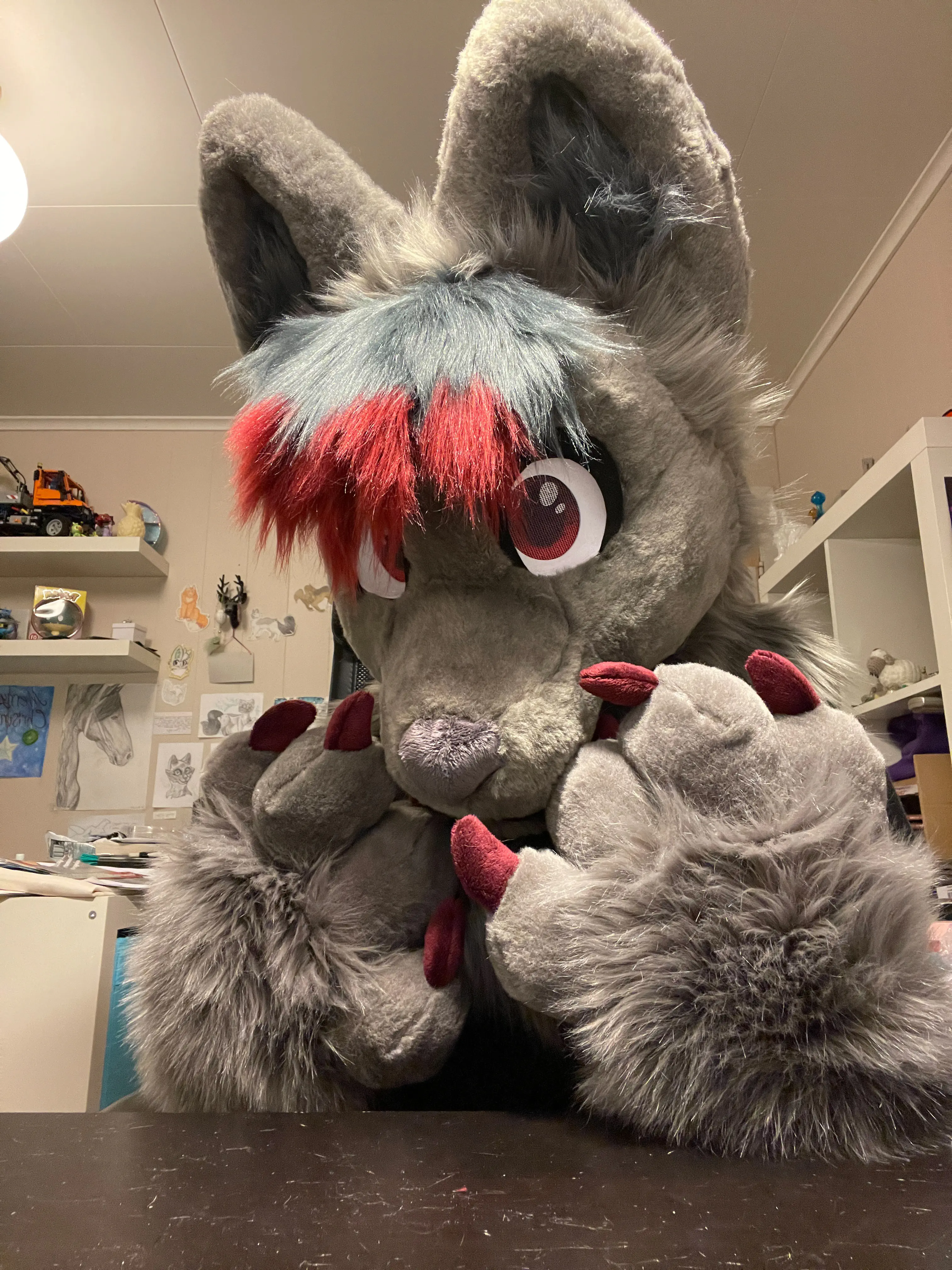 FreezingDodge front view