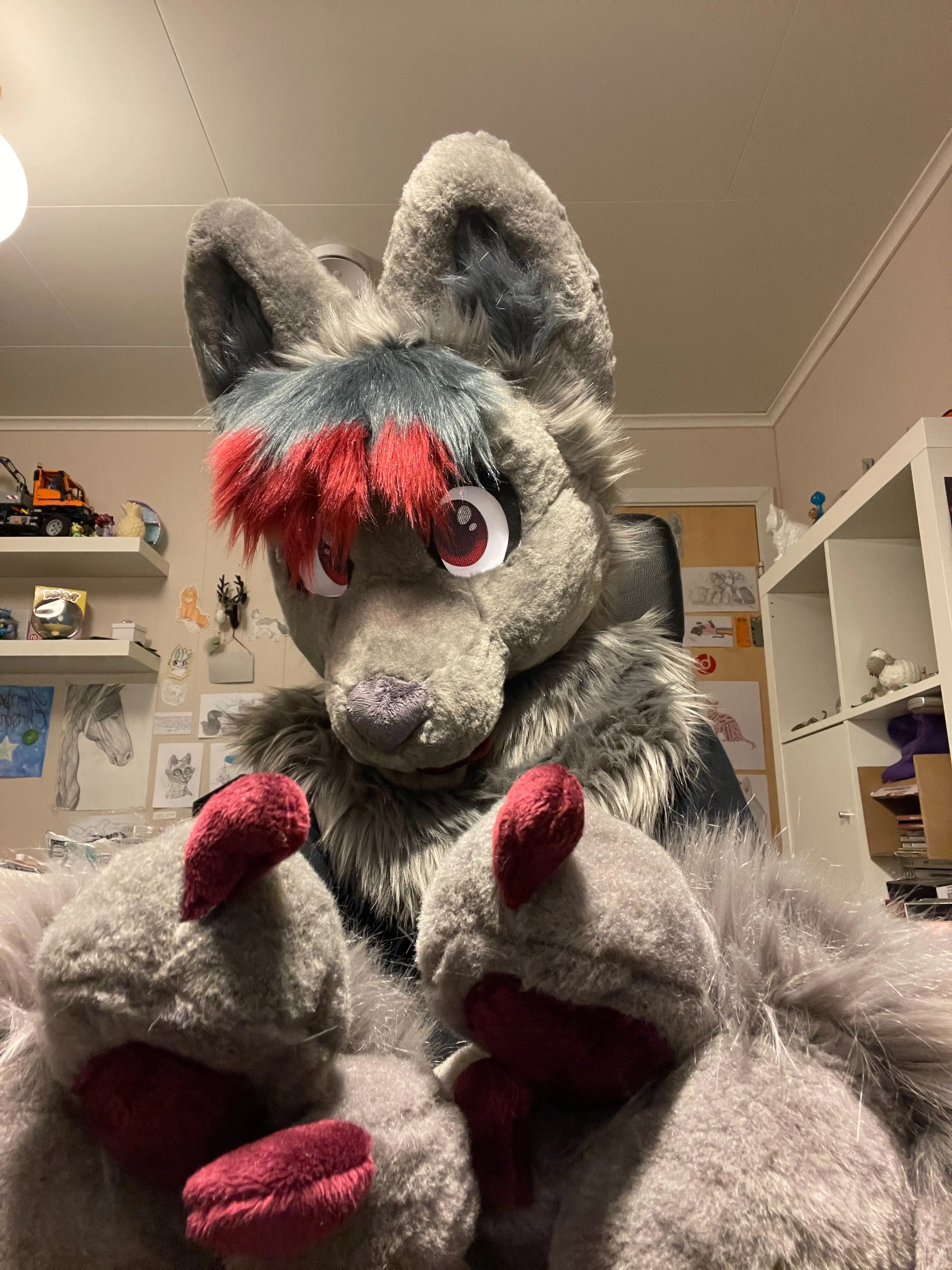 FreezingDodge front view