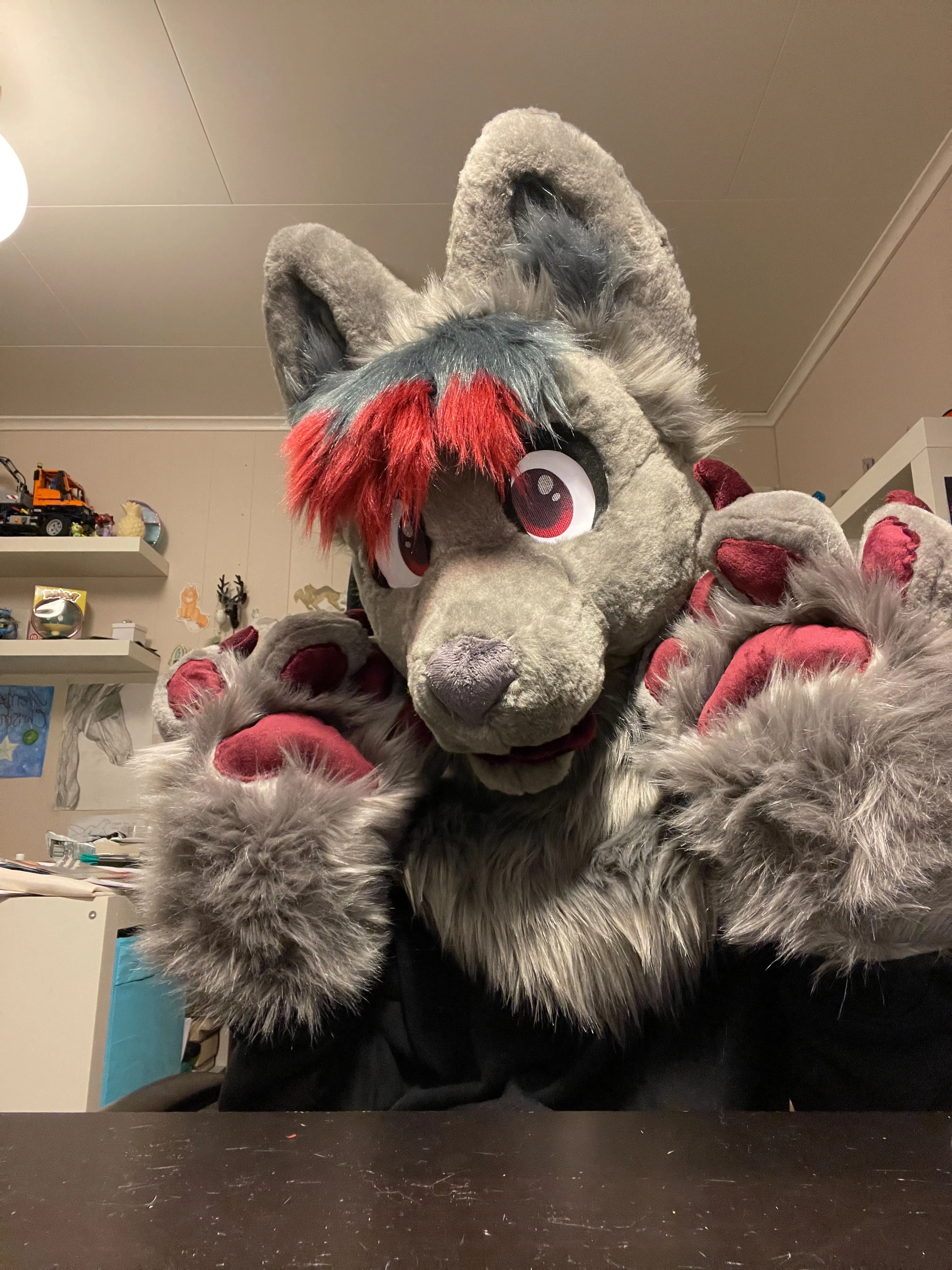 FreezingDodge front view