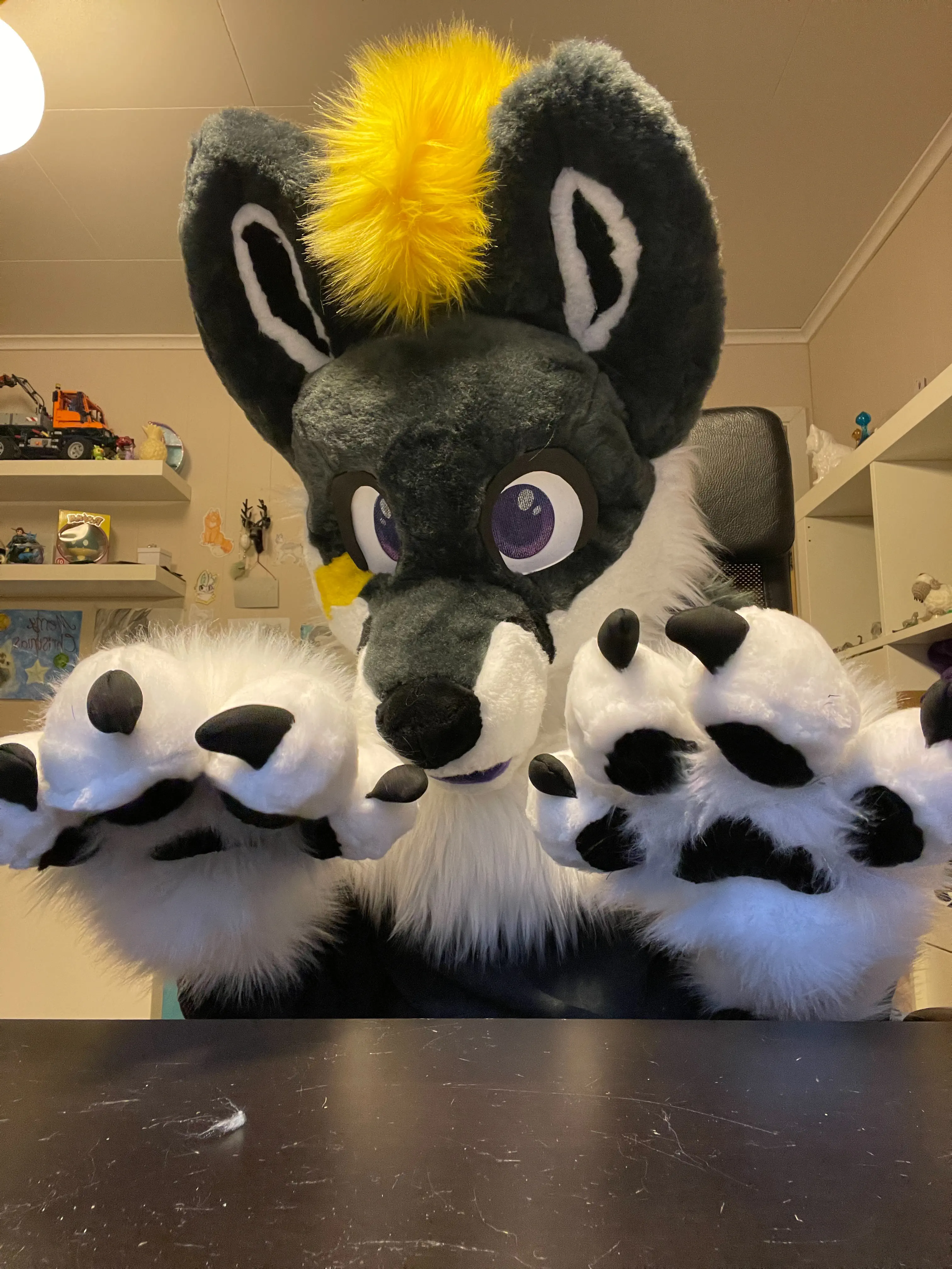 Lightningfox front view