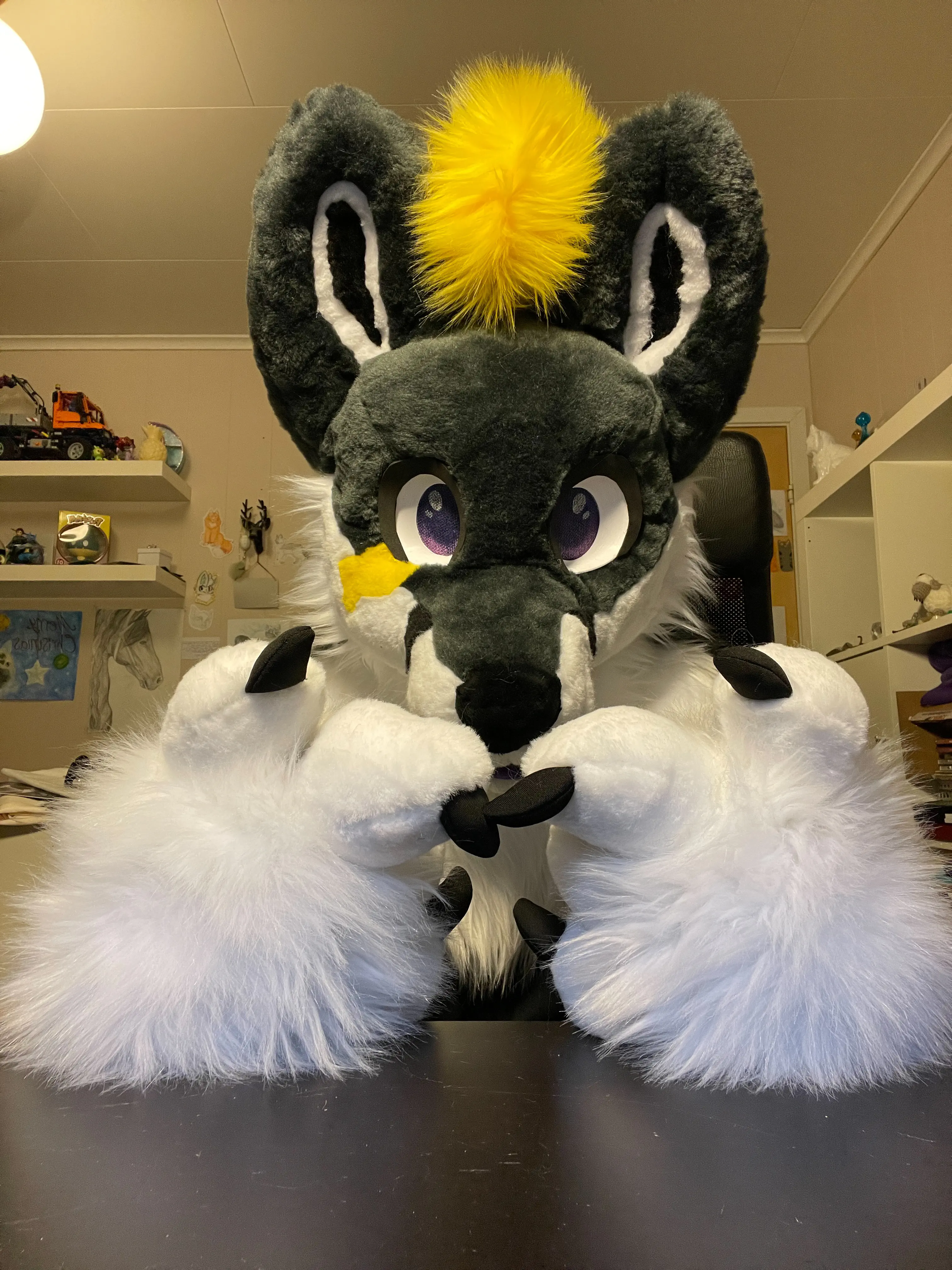 Lightningfox front view