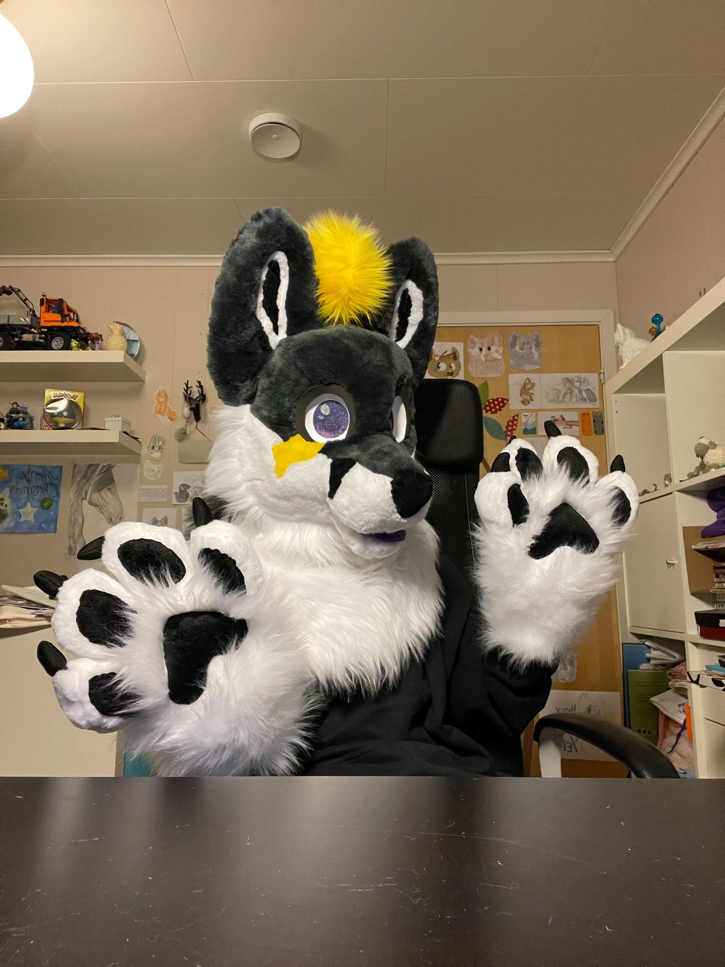 Lightningfox front view