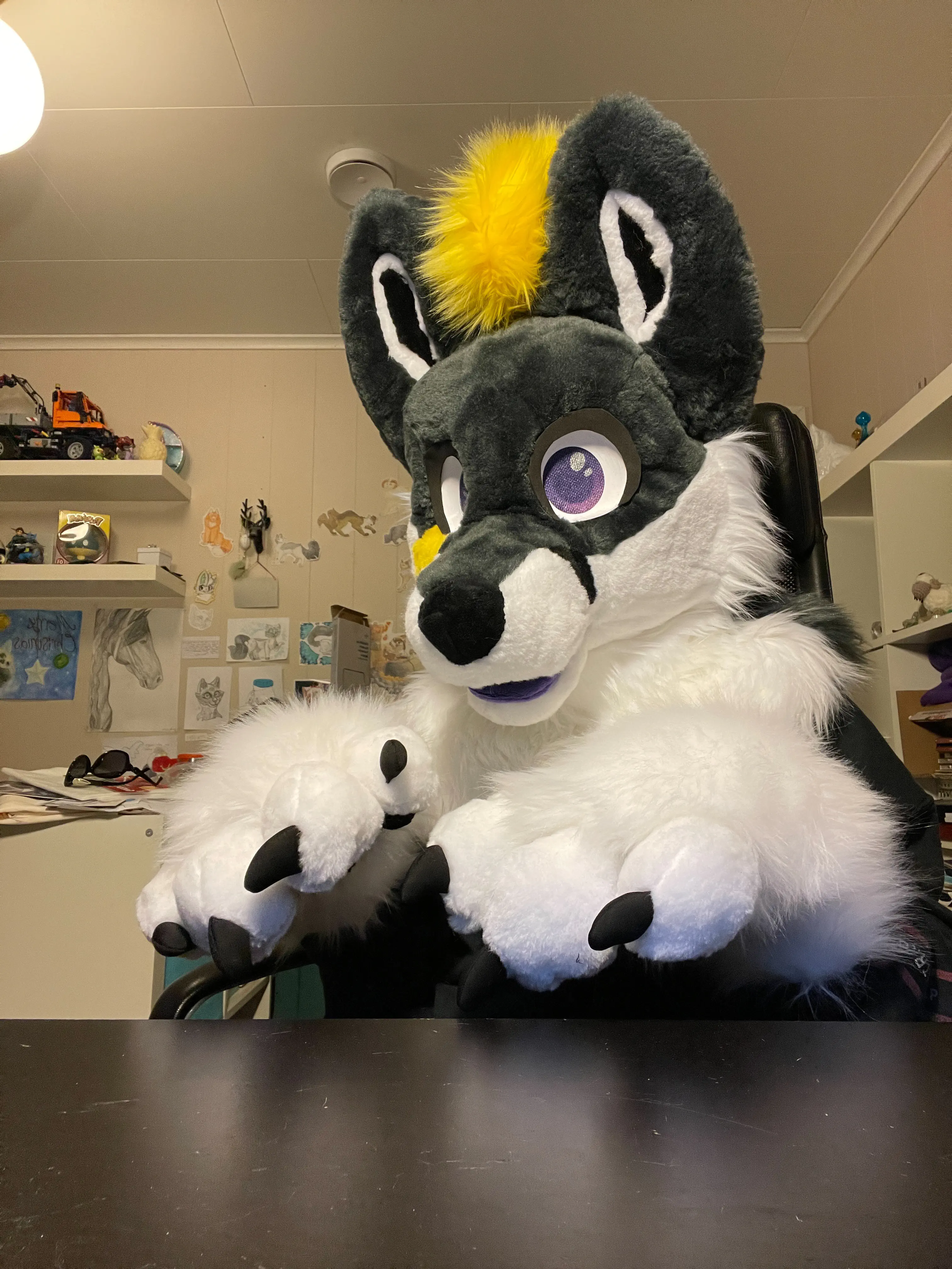 Lightningfox front view