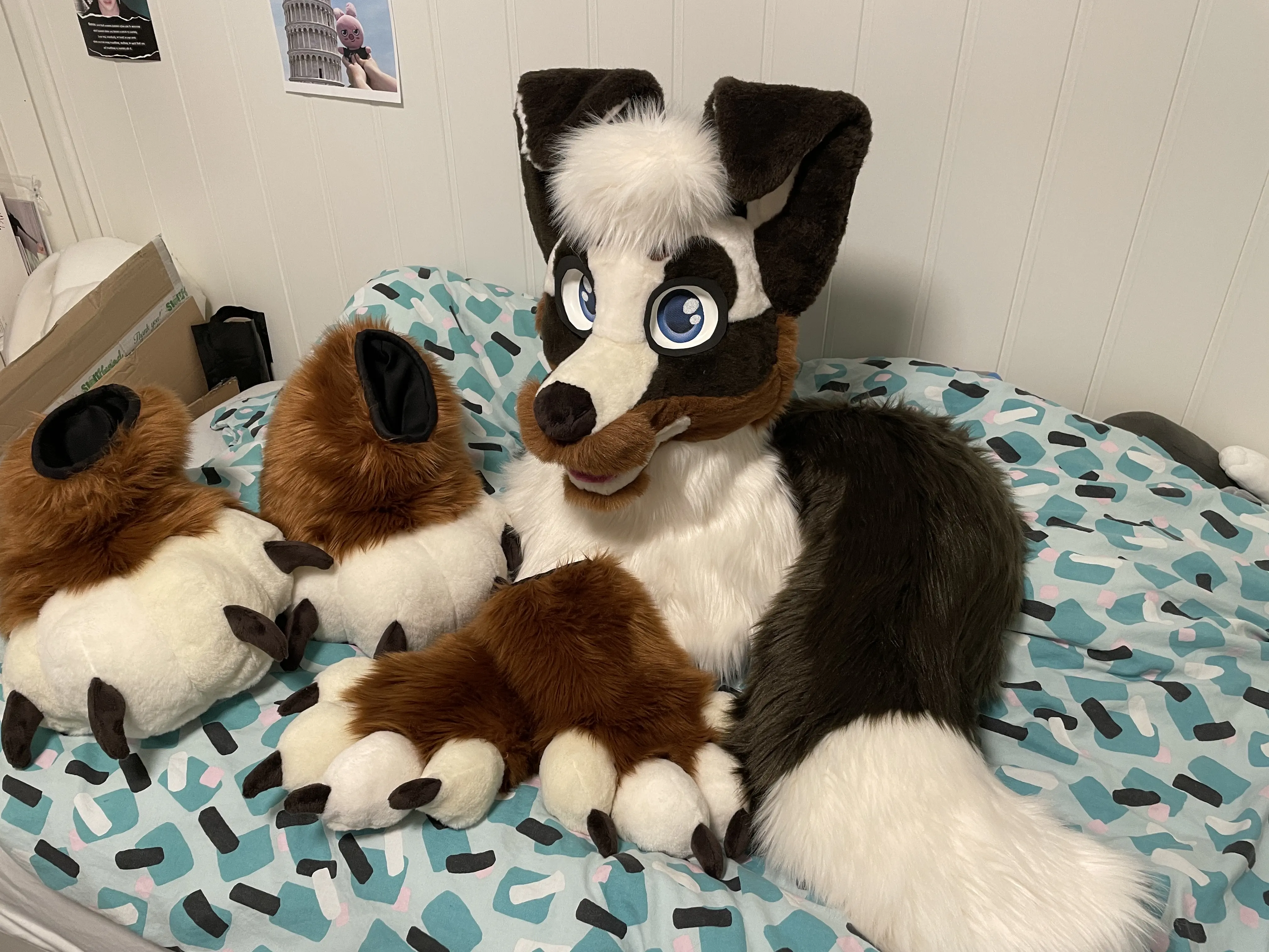 Michael Floof front view