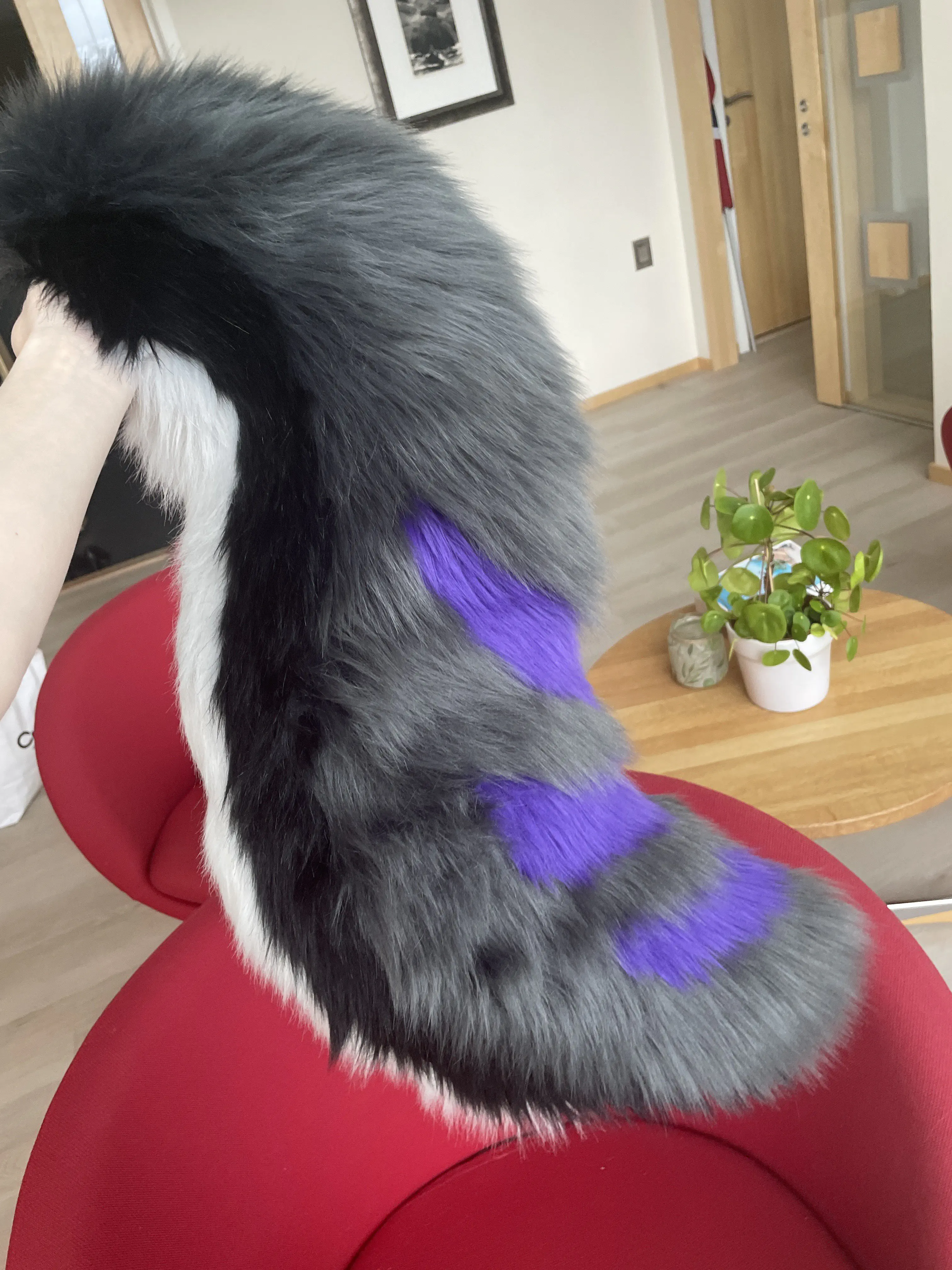 Tail