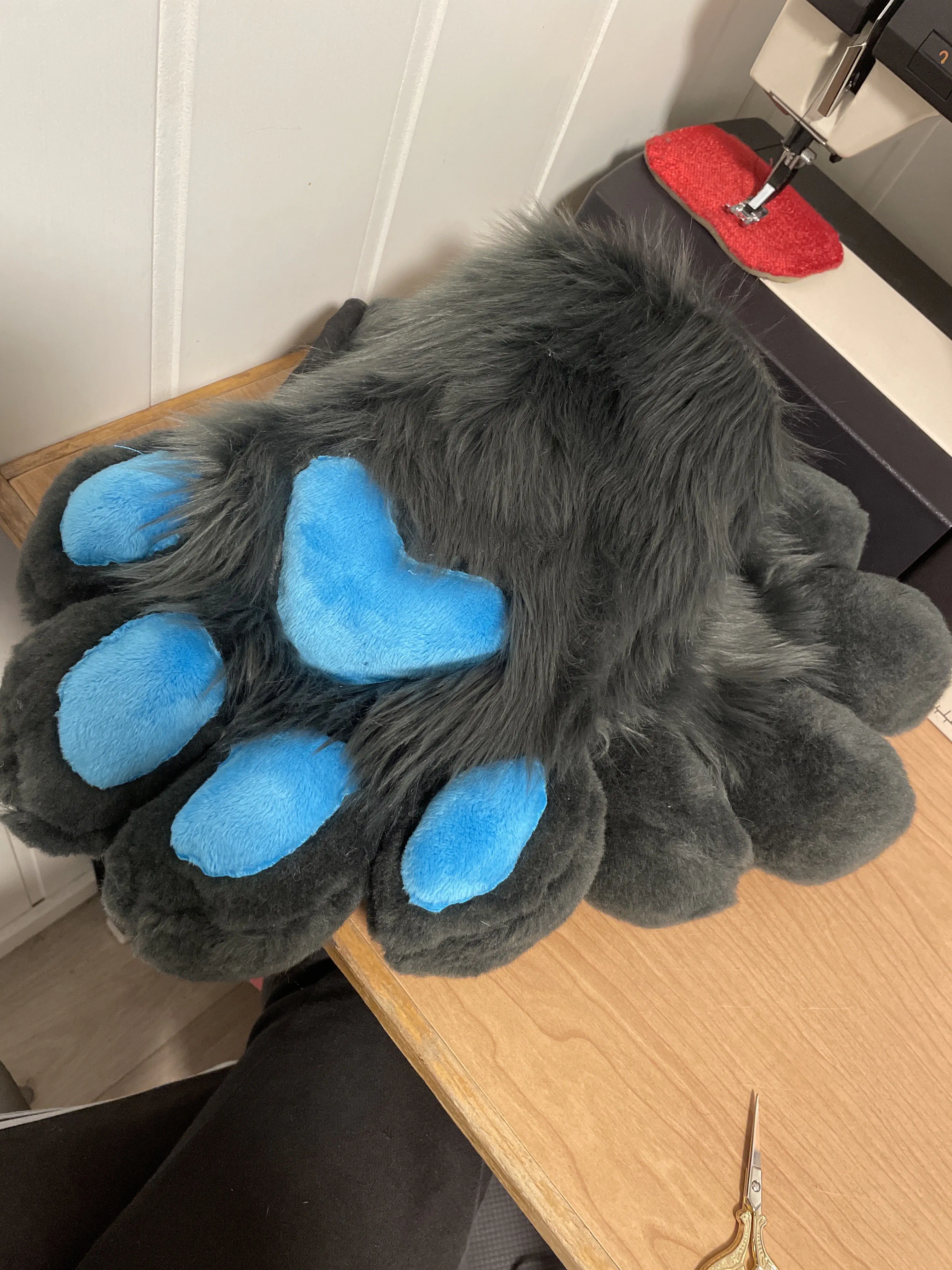 Handpaws
